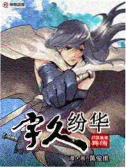 东门城楼墙体与俯瞰古城屋顶的细节图
